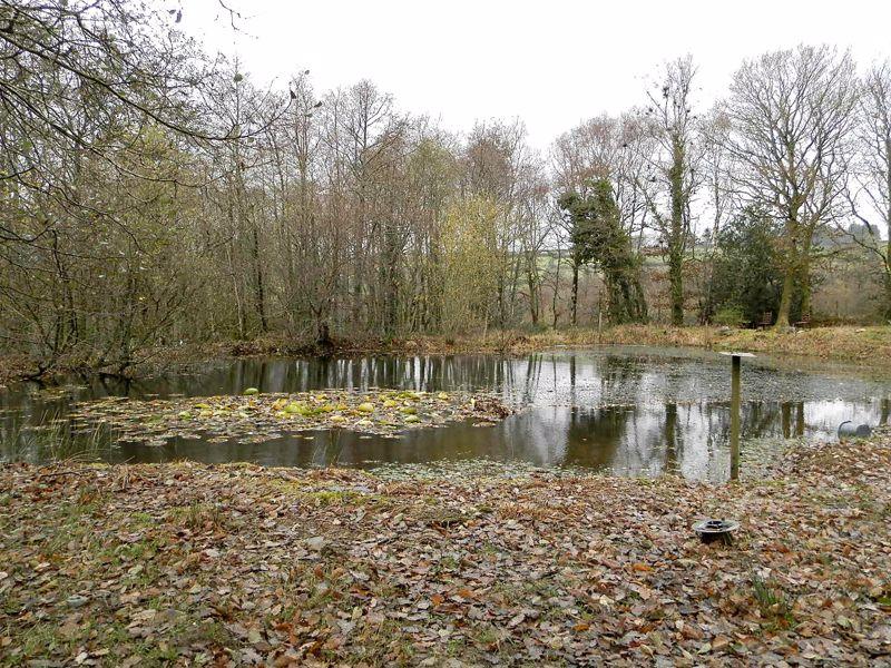 Lovely Large Pond