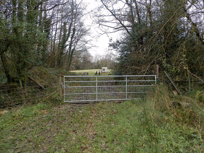 Access to Paddock 2