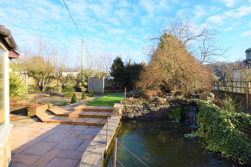 Pond