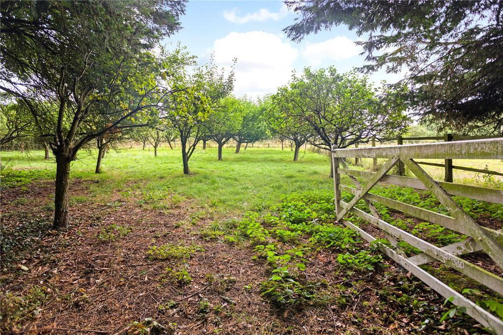 Orchard