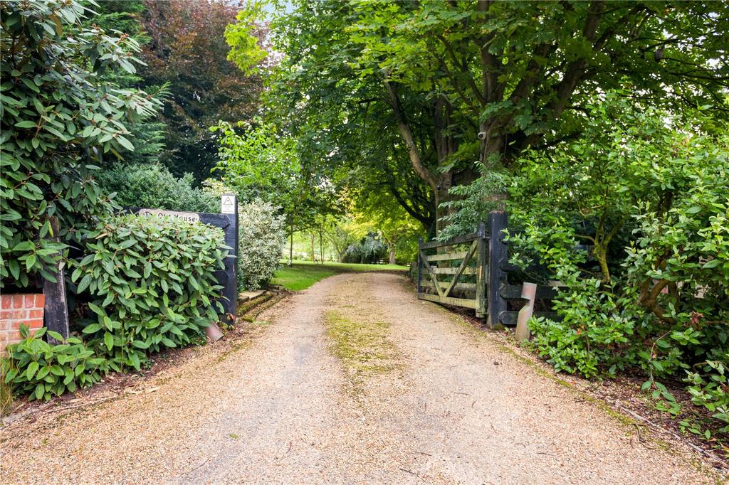 Driveway
