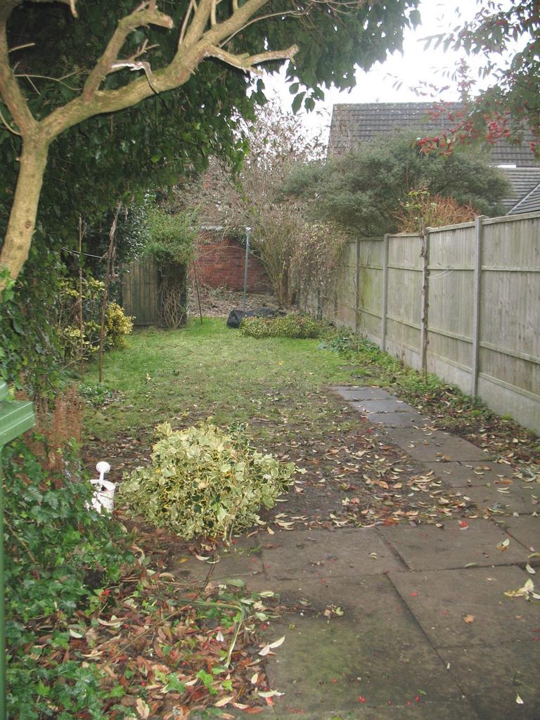 Photo 12