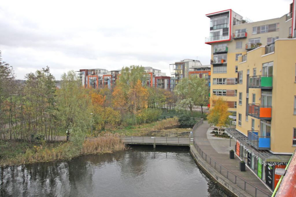 Millennium Village