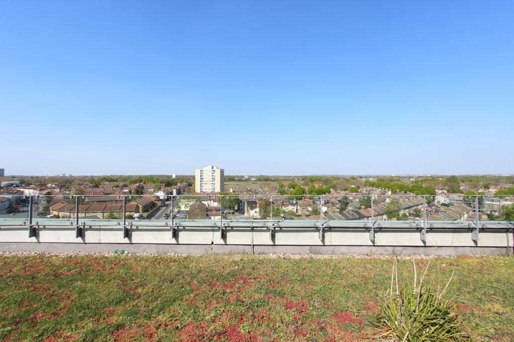 Rooftop Garden