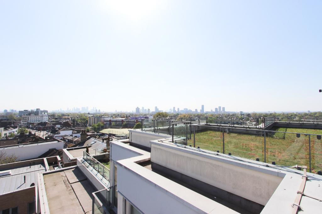 Rooftop Garden
