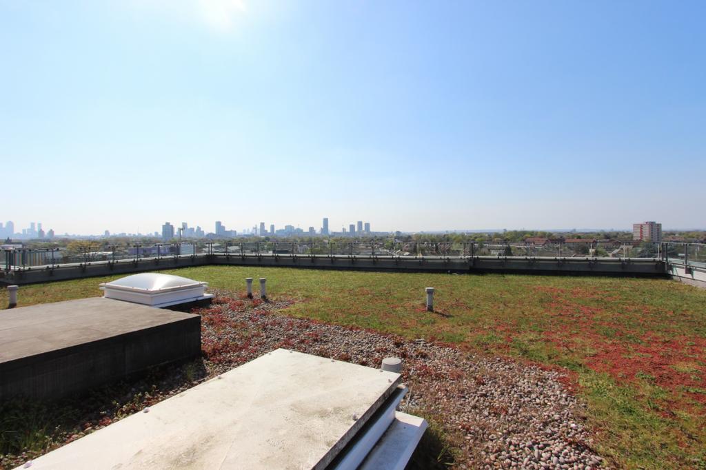Rooftop Garden