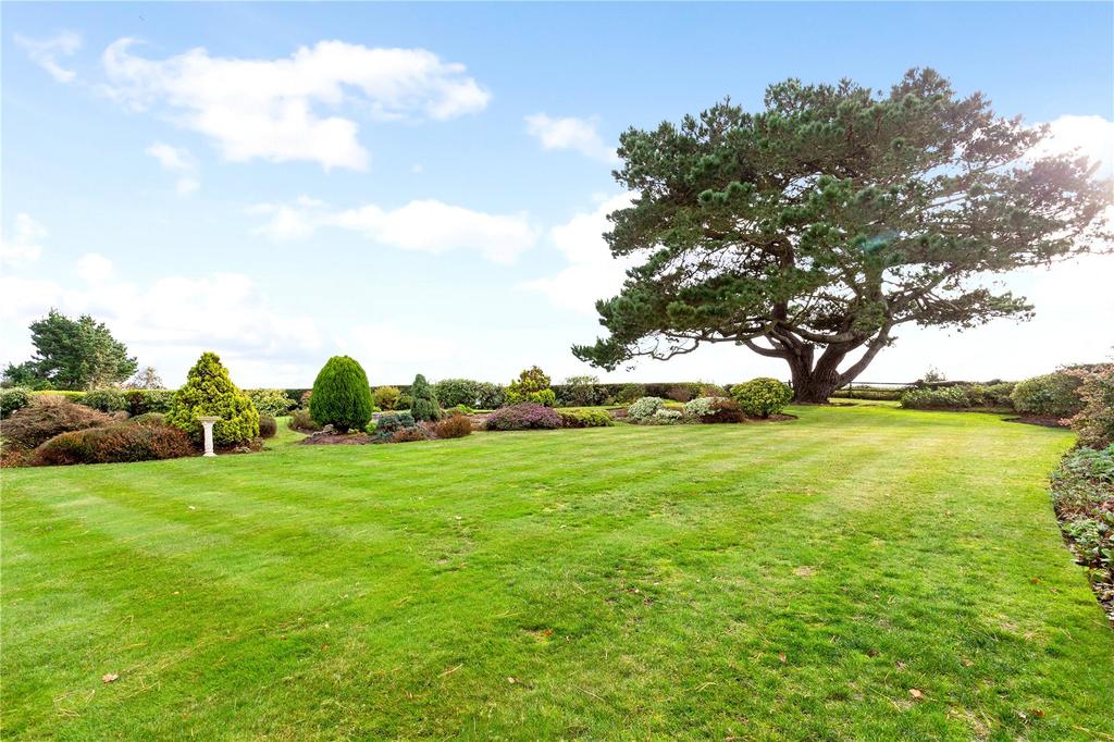Communal Grounds