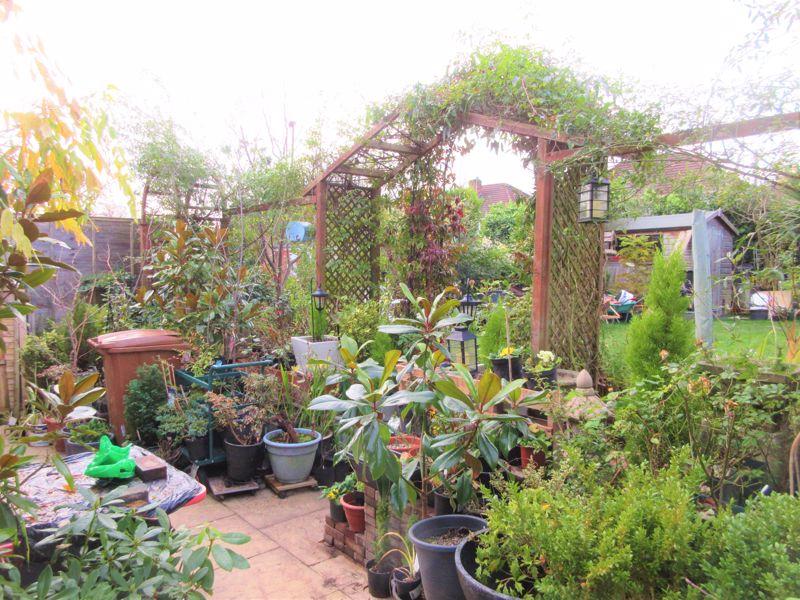 Patio and Rear...