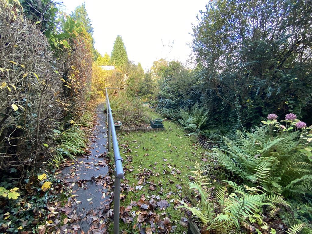 Rear Garden 2