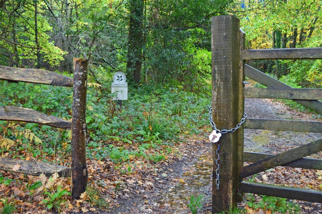 Woodland