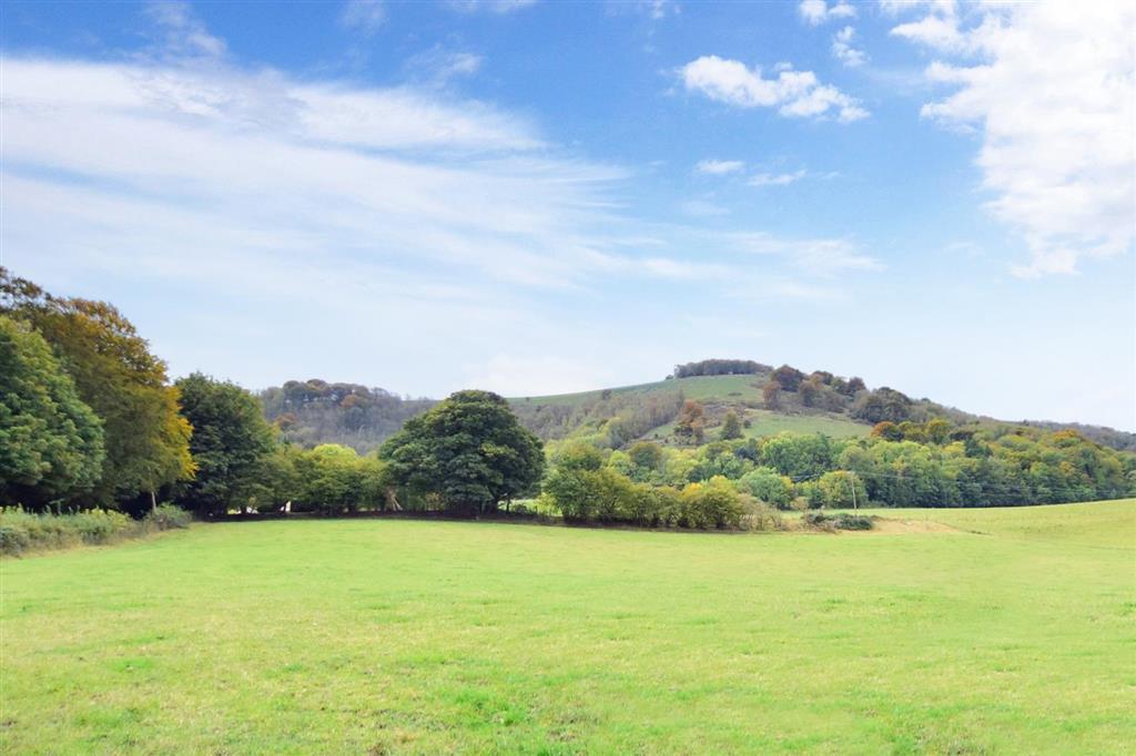 Local Views