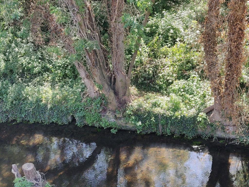 Picture No. 19