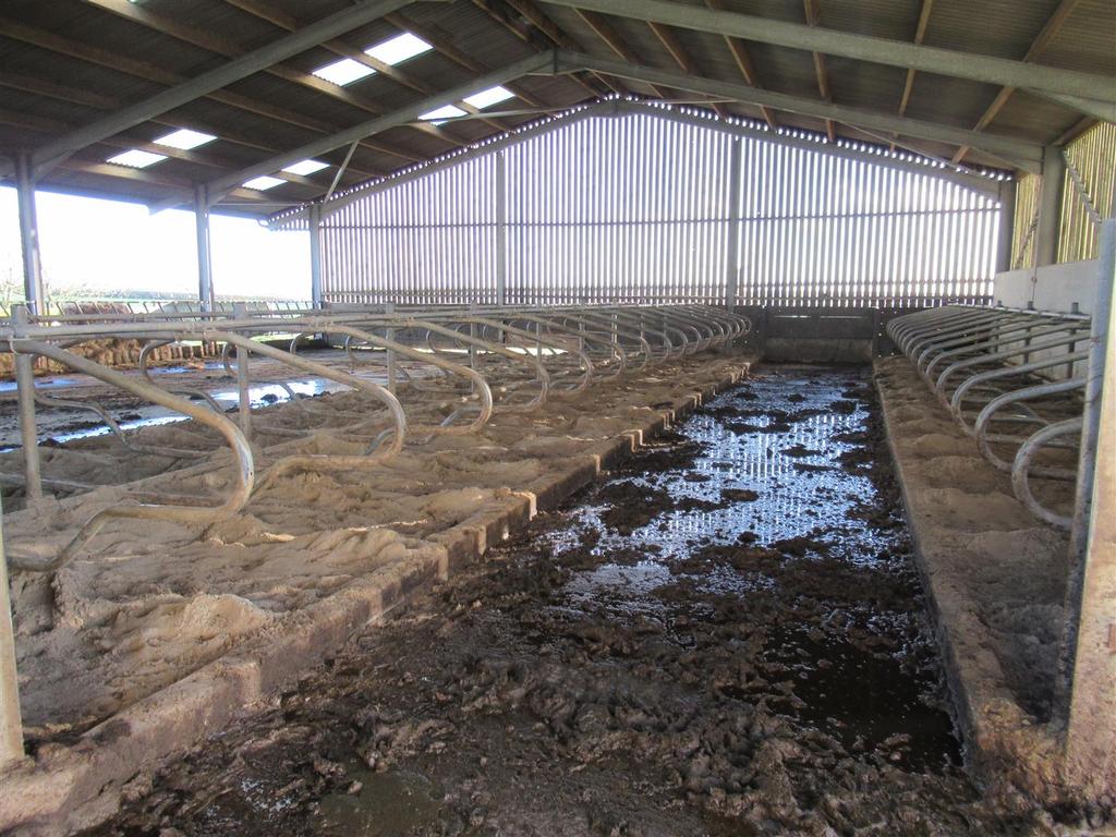 Cubicle Shed with Covered Feeding Area