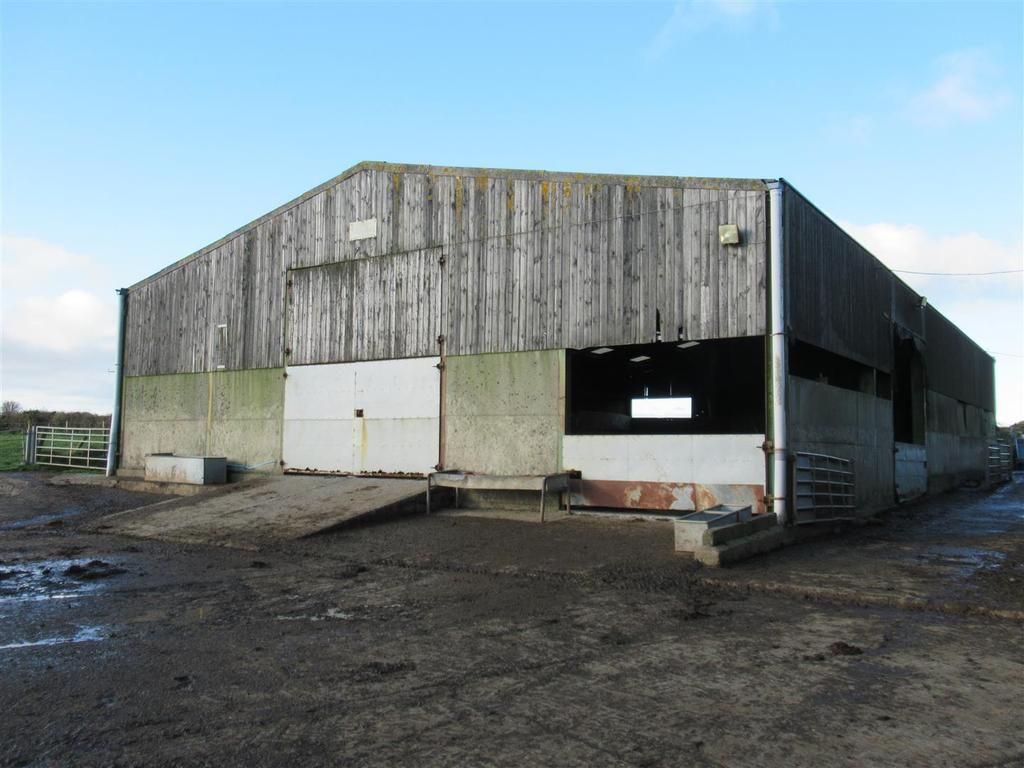 Multipurpose Shed