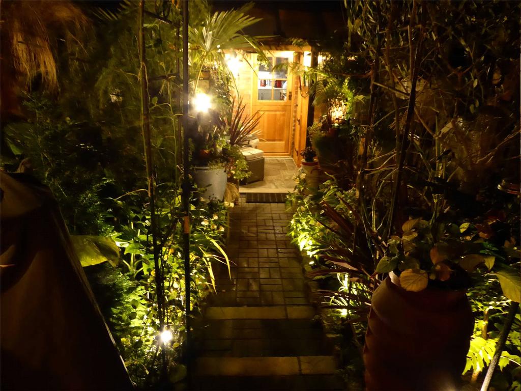 Picture No. 17