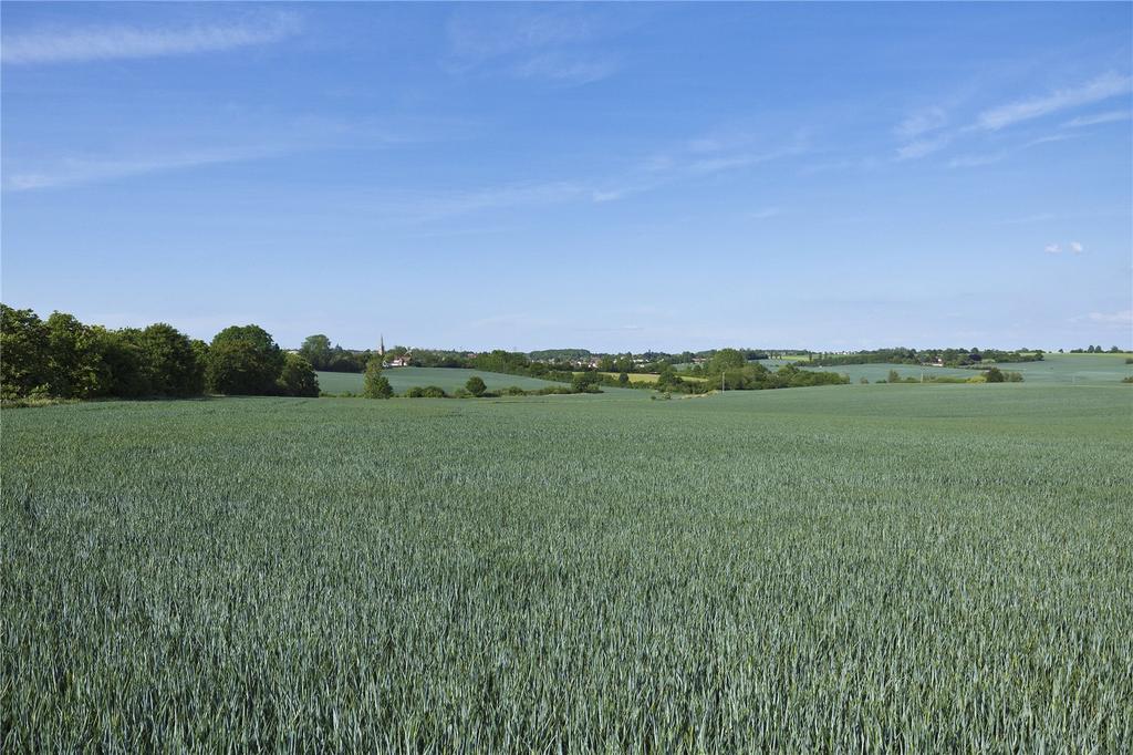 Arable Land