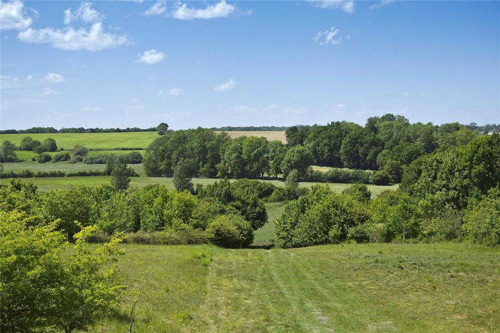 View Of Farm