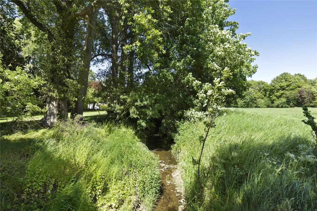 Brook