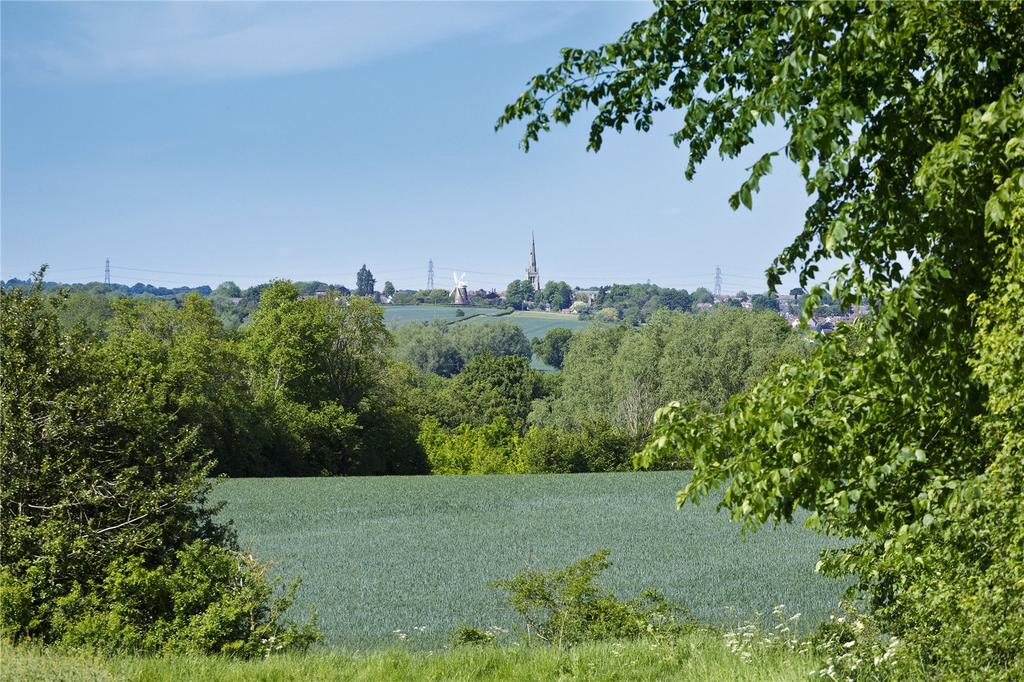 View Of Farm