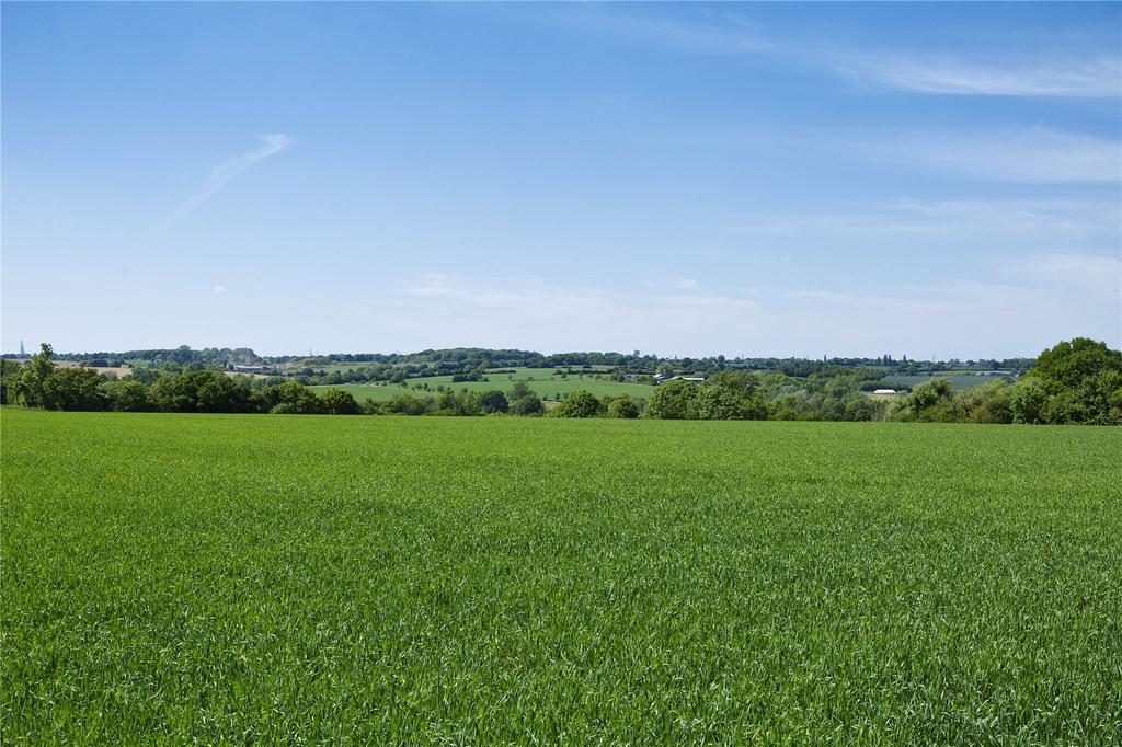 Arable Land