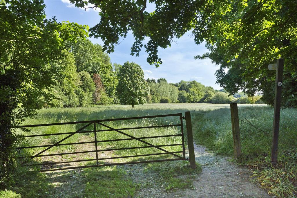 Paddock From Road
