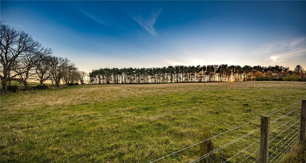 Grassland South