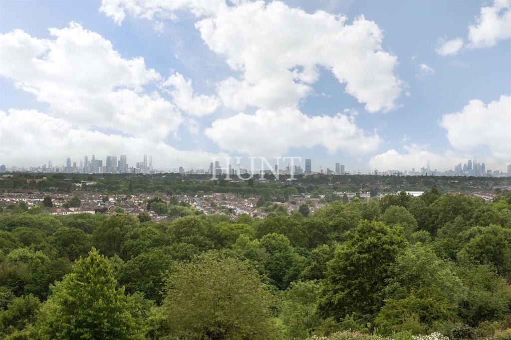 London panoramic view
