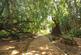 Communal Grounds