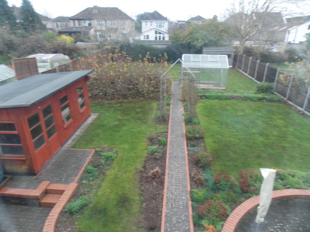 View of garden