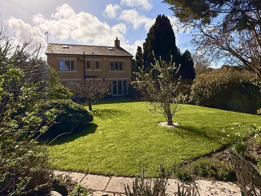 Back of Property