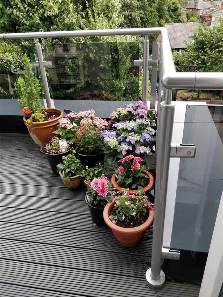 Balcony 3.jpg