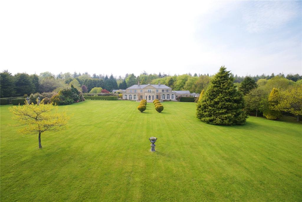 The Property
