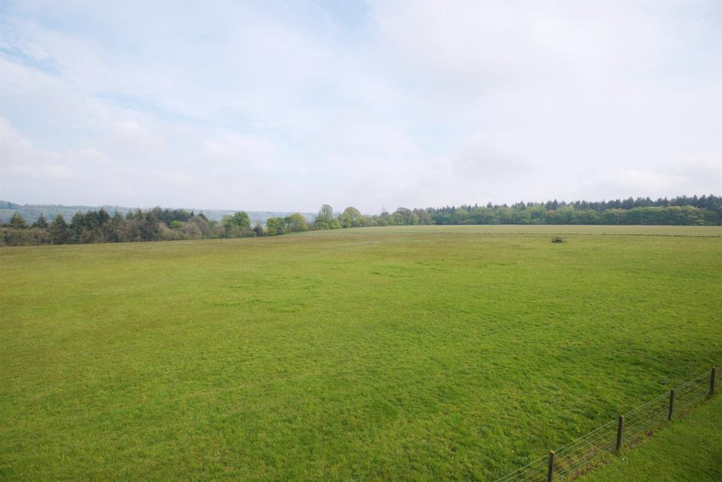 Pasture