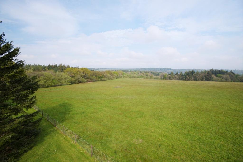 Pasture