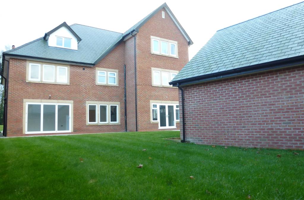 Rear Elevation