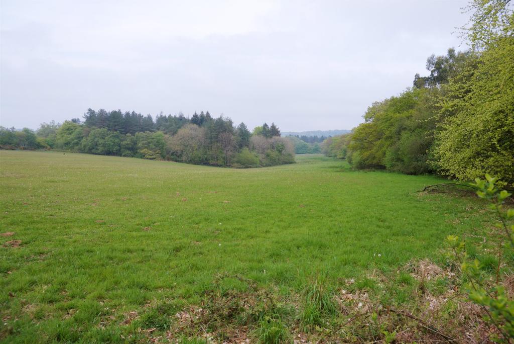 Land