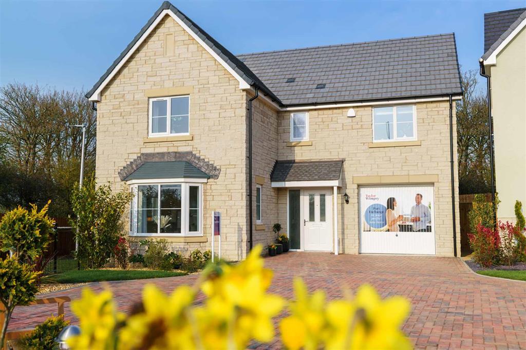 Actual show home