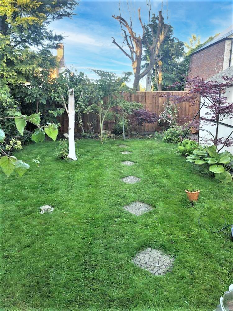 Rear garden in summer time