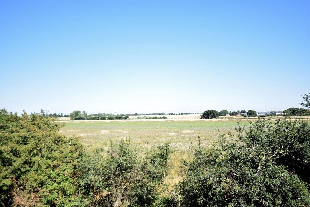 Farmland views