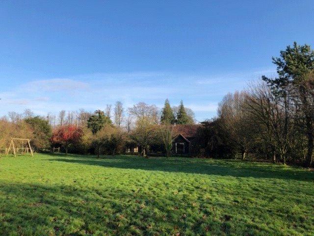 Back Meadow/Gdn