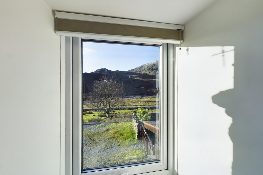 View from Bedroom Window