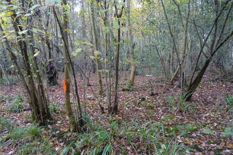 undefined, Russ Hill, Surrey, Surrey RH6