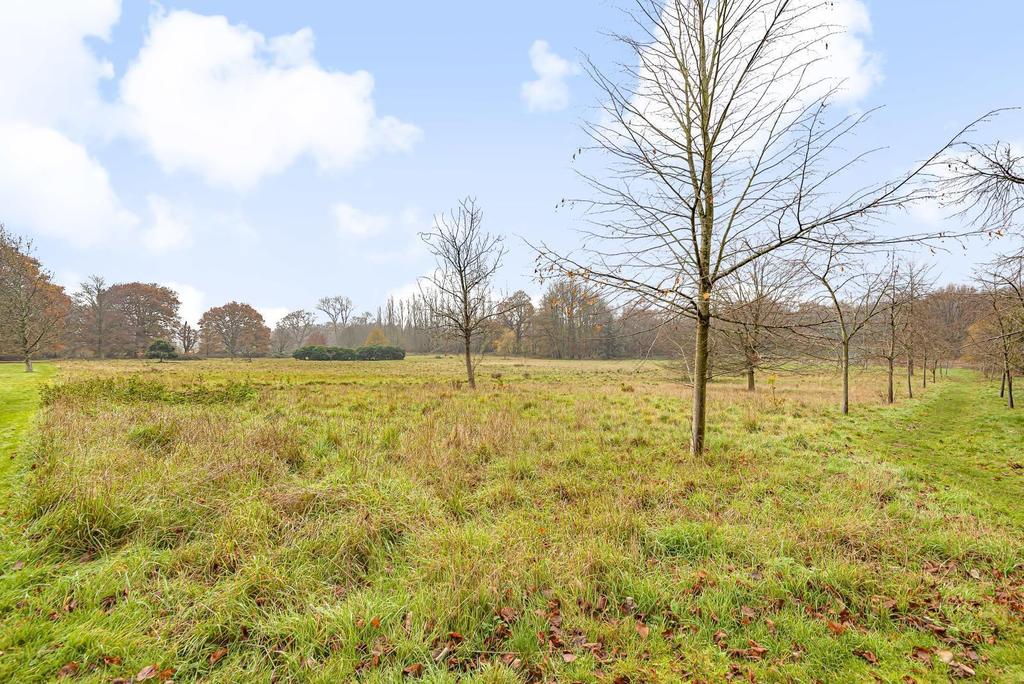 Estate Grounds