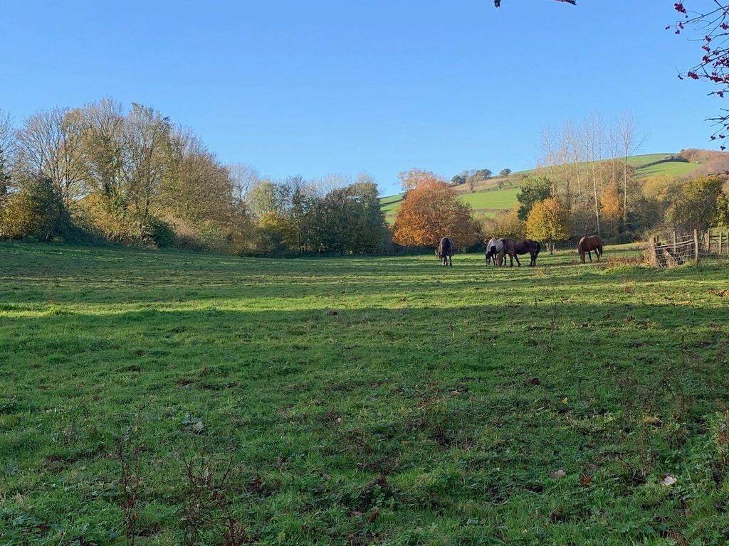 Silverton, Exeter, Devon 7 bed detached house for sale £1,250,000