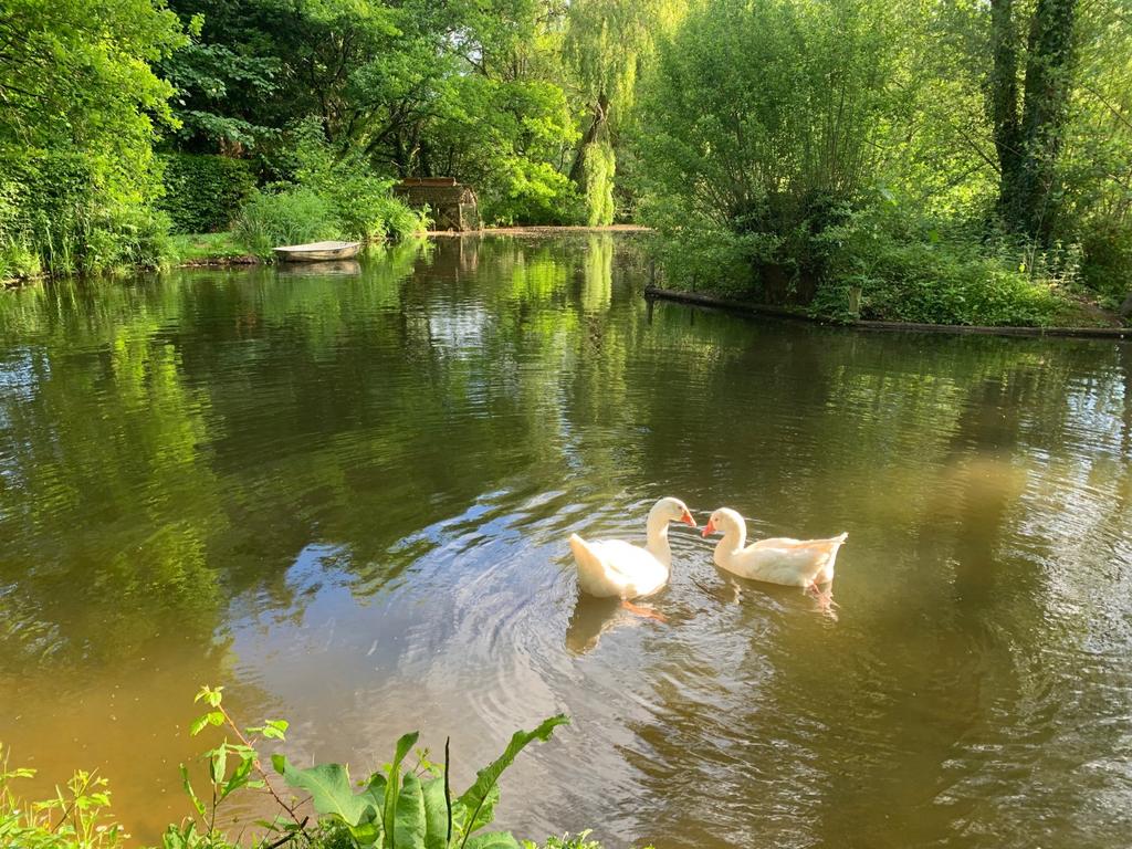 Lake