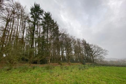 Land for sale, Teifi Valley, Lampeter, SA48