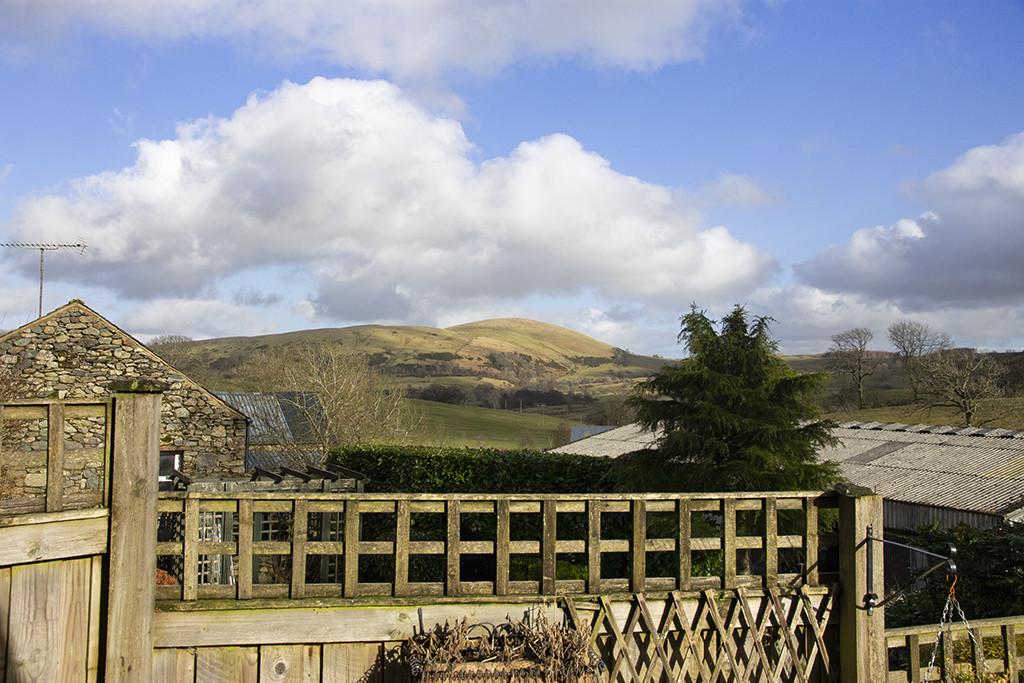 Rear garden view
