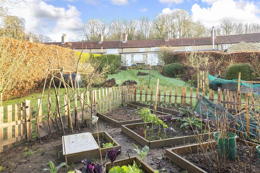 Garden 3