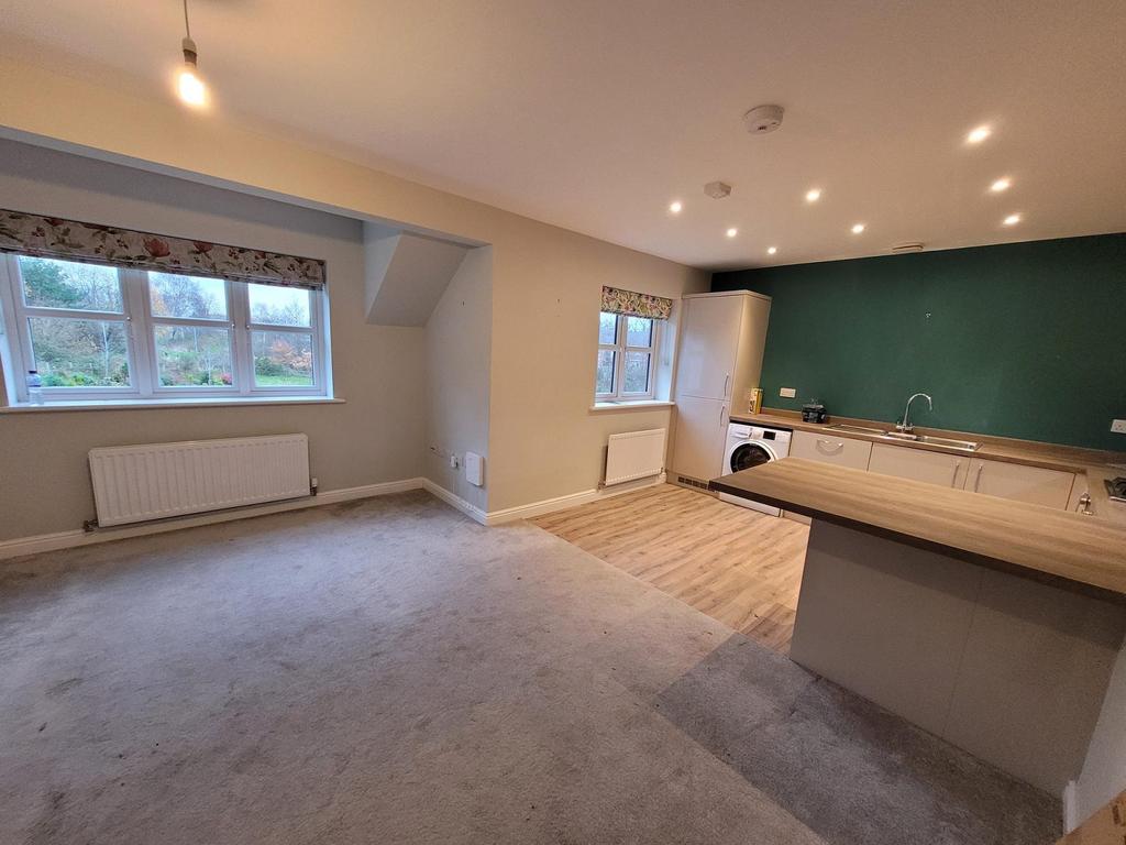 Open plan kitchen and living area