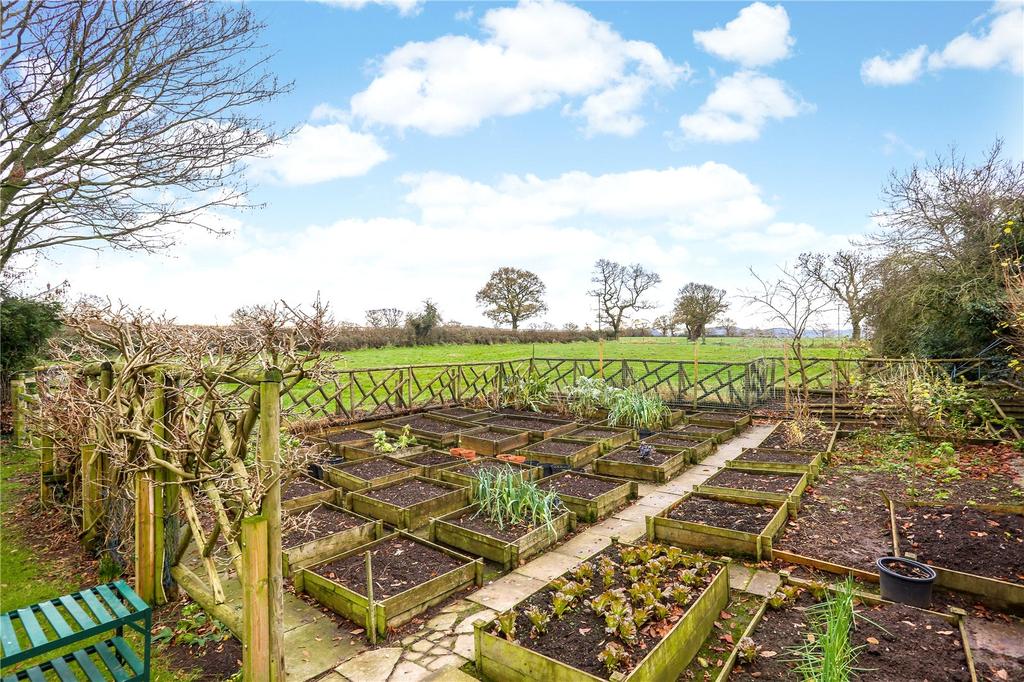 Vegetable Patch